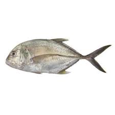 http://atiyas.techluminous.com/public/storage/photos/1/Category/Fish.jpg