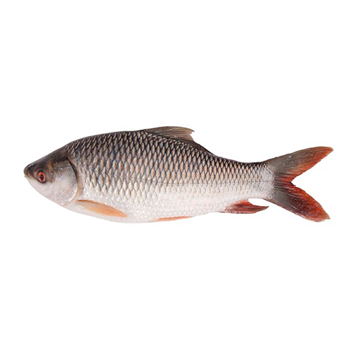 http://atiyas.techluminous.com/storage/photos/1/PRODUCT4/ANAK119.png